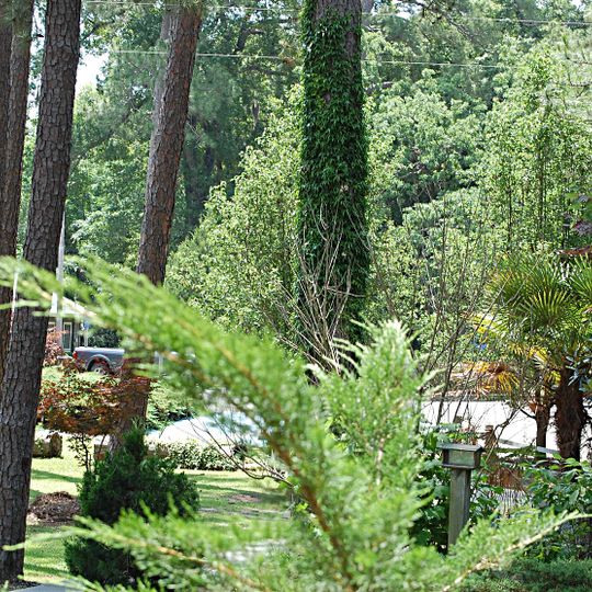 George L. Smith State Park