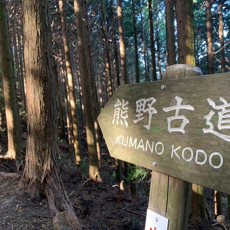 Kumano Kodo - Nakahechi