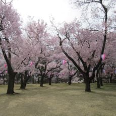 Château de Kasugajo (pays Shinano Ina County)