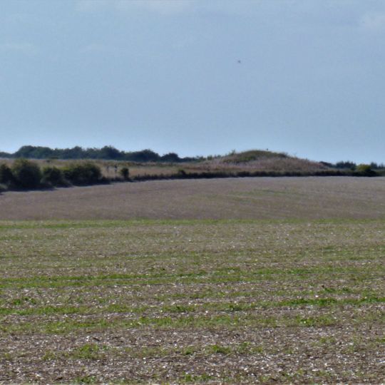Round barrow cemetery 320m south east of Down Farm