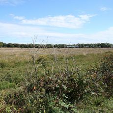 Rackenford and Knowstone Moors