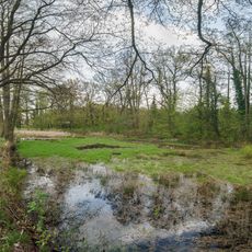 Alluvial pond in Kobershain