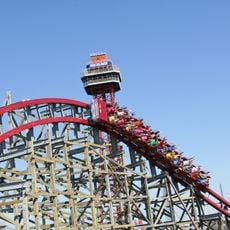 New Texas Giant