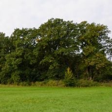 Eichenhain bei Penzenhofen