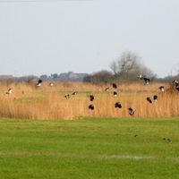 Saint-Germain-de-Varreville