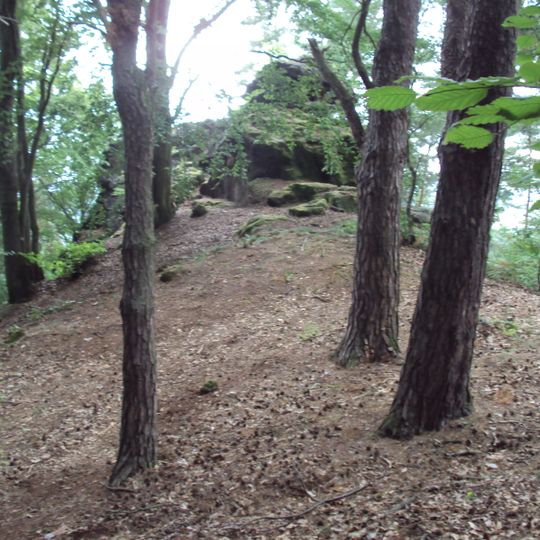 Kamenný vrch u Křenova