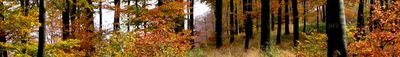 Panoramautsikt 1