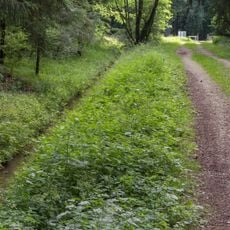 Kettenbach-Leitgraben