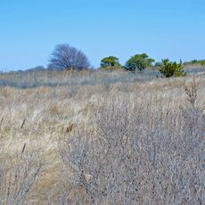 Heckscher State Park
