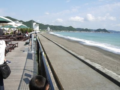 The view 2