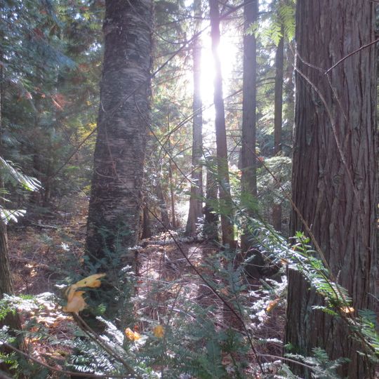 Parc provincial Mara