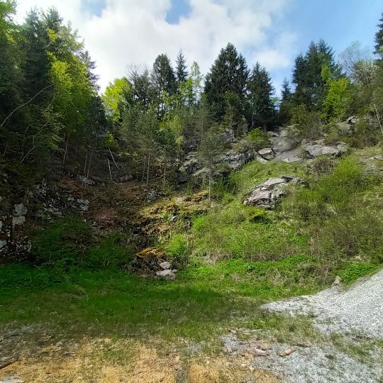 Steinbrüche am Kienberg-Südhang SW von Schwangau