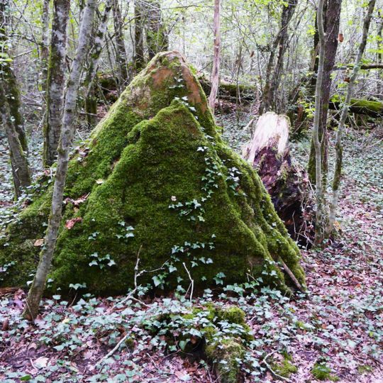 Mégalithe des Coutoux