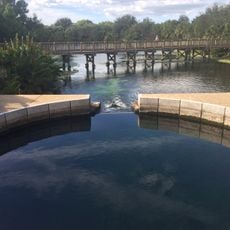 Wall Springs Park