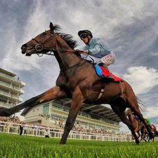 Epsom Downs