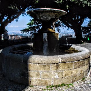 Fontana del Belvedere