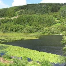 Llyn Gwernan