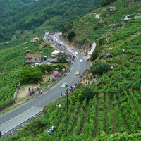 San Fiz de Asma, Chantada