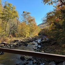Monongahela National Forest