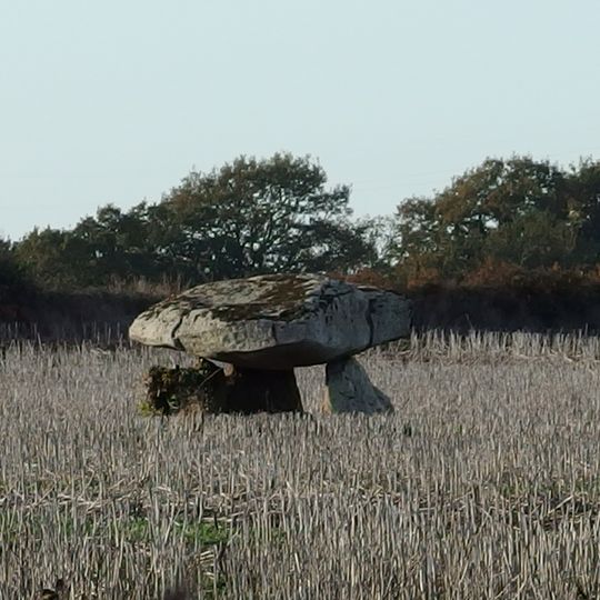 Dolmen de Kervingu