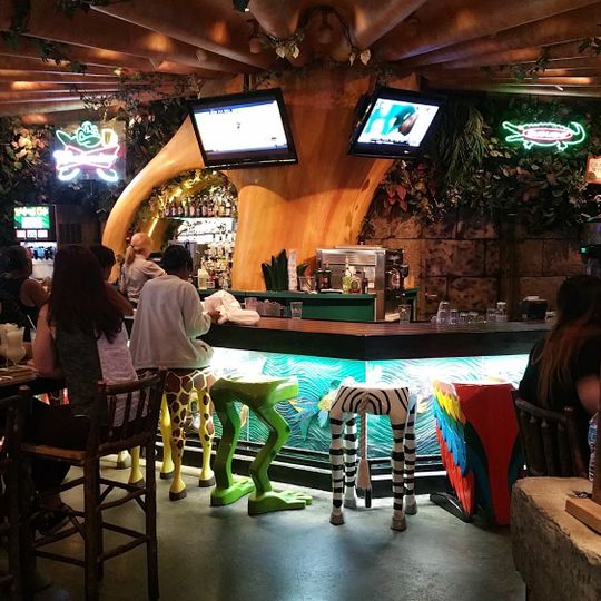 Rainforest Cafe