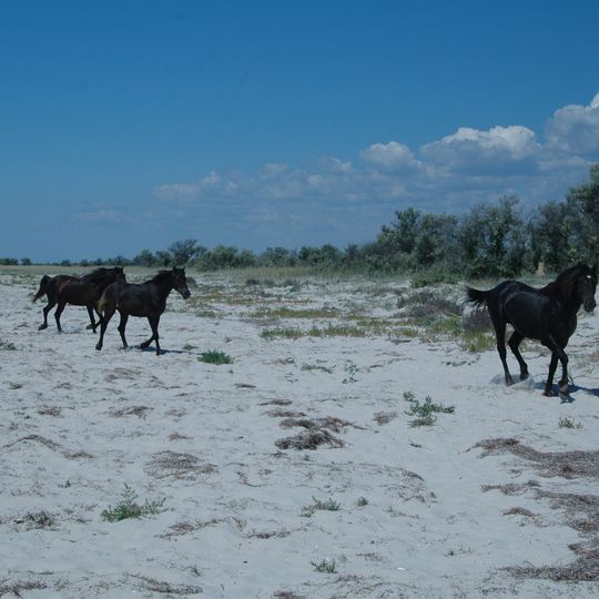 Джарилгацький заказник