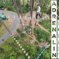 Adrenalin Forest Christchurch