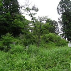 Mitaki Castle