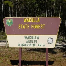 Wakulla State Forest