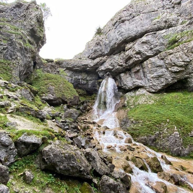 Гордейл Скар