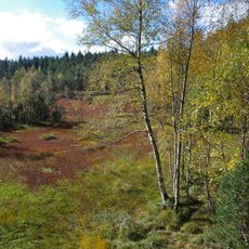 Hormersdorfer Hochmoor