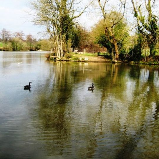 Bedelands Farm Nature Reserve