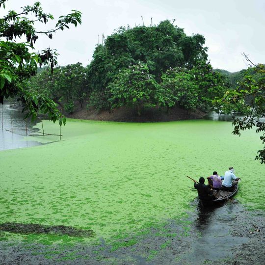 Uttar Dinajpur district