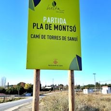 Pla de Montsó