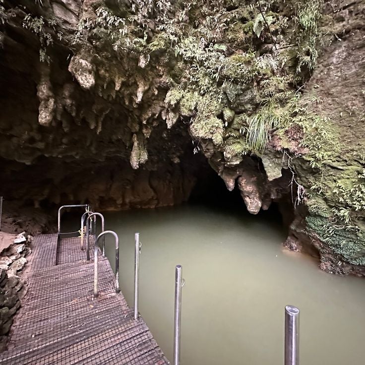 Waitomo Caves
