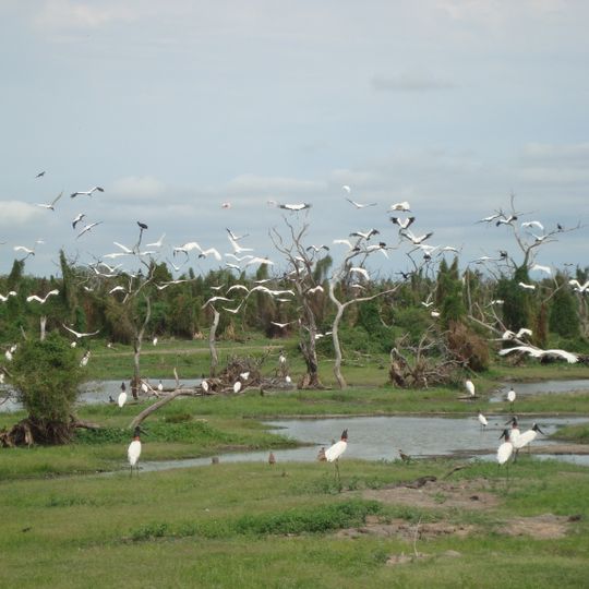 Dipartimento di Patiño