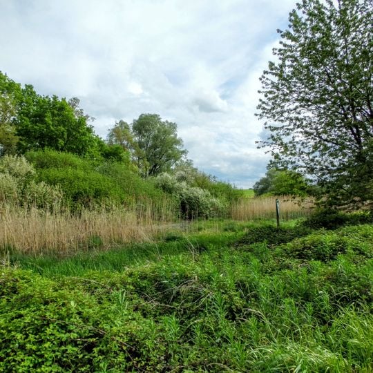 Schiener Berg und westlicher Untersee