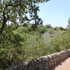 Oasi WWF dei Boschi Romanazzi