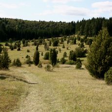 Glastal, Großer Buchwald und Tautschbuch