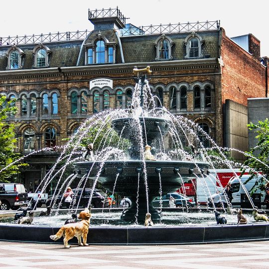 Berczy Park