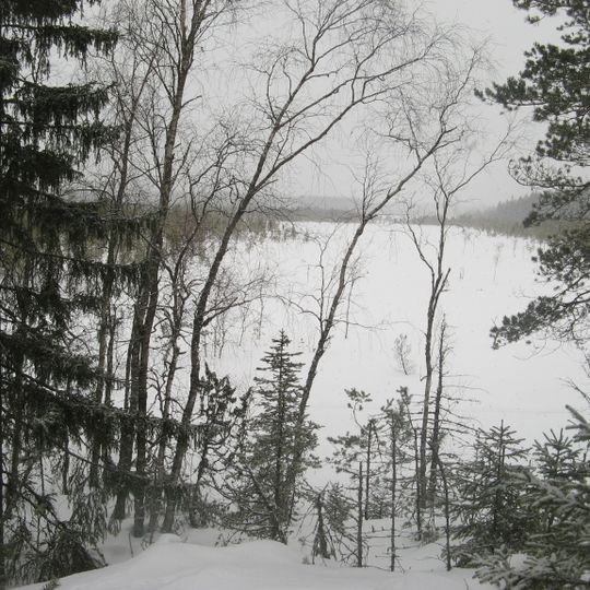 Parco nazionale di Kurjenrahka