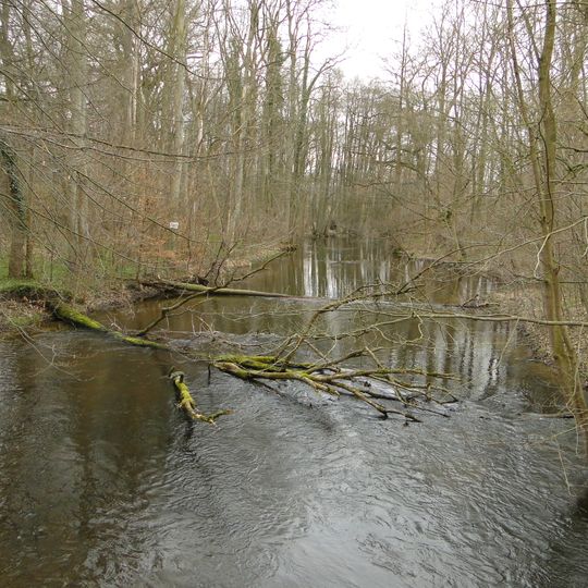 Nebeltal mit Zuflüssen, verbundenen Seen und angrenzenden Wäldern