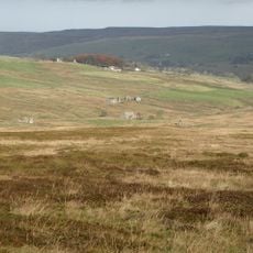 Allendale Moors