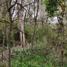 Sifón del Guadalete