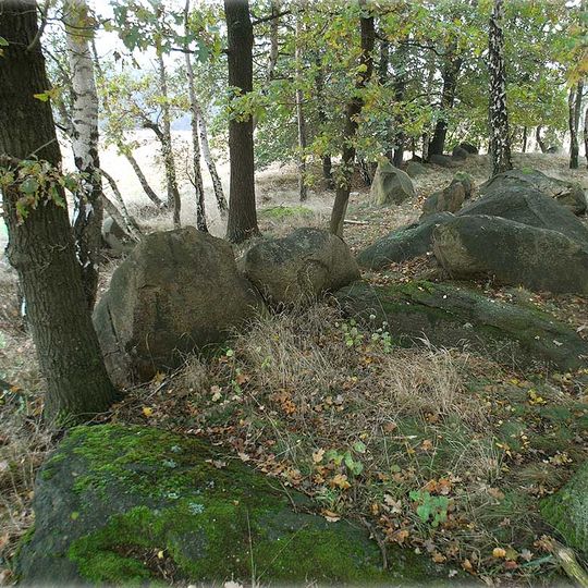 Großsteingräber bei Molmke