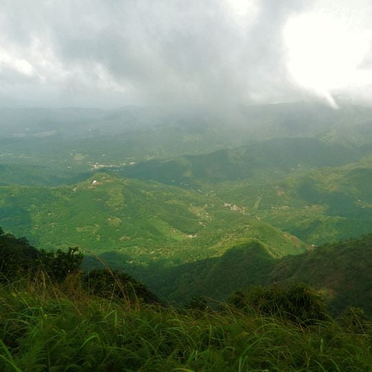 Cardamom Hills