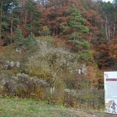 Burgstall Stifterfelsen