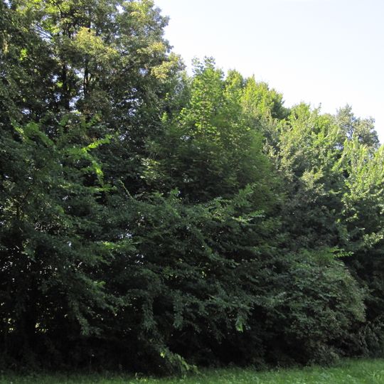 Manor park in Posada Zarszyńska