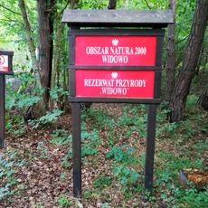 Rezerwat przyrody Widowo