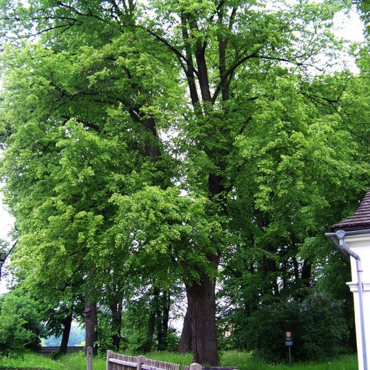 Cemetery at Saint Catherine chapel in Česká Třebová